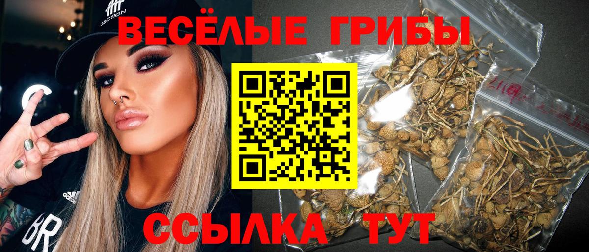 Волгодонск  цена наркотик  Вход с VPN  Псилоцибиновые грибы мухоморы 