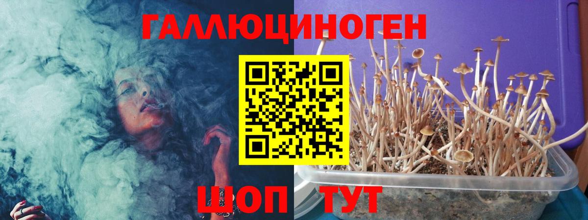 Псилоцибиновые грибы мицелий Волгодонск